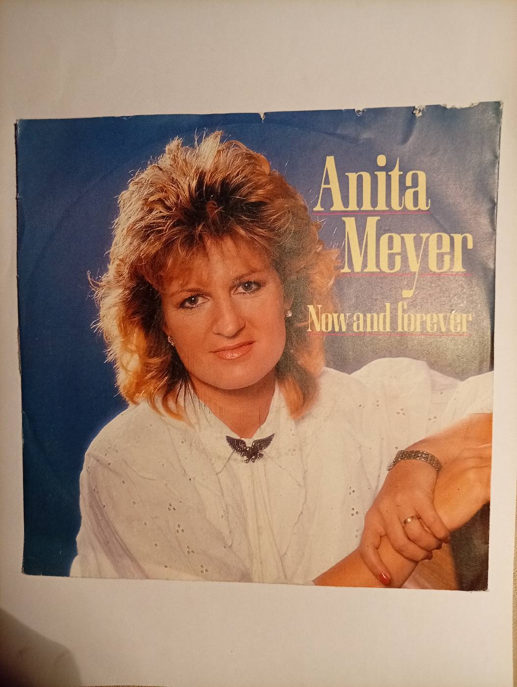 Anita Meyer - Now And Forever - foto 1