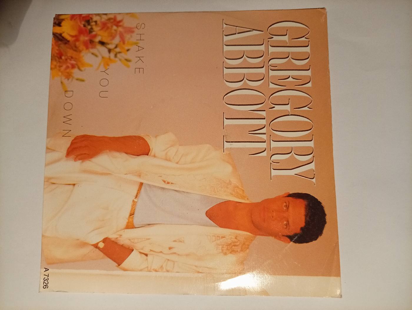 Gregory Abbott - Shake You Down - foto 1