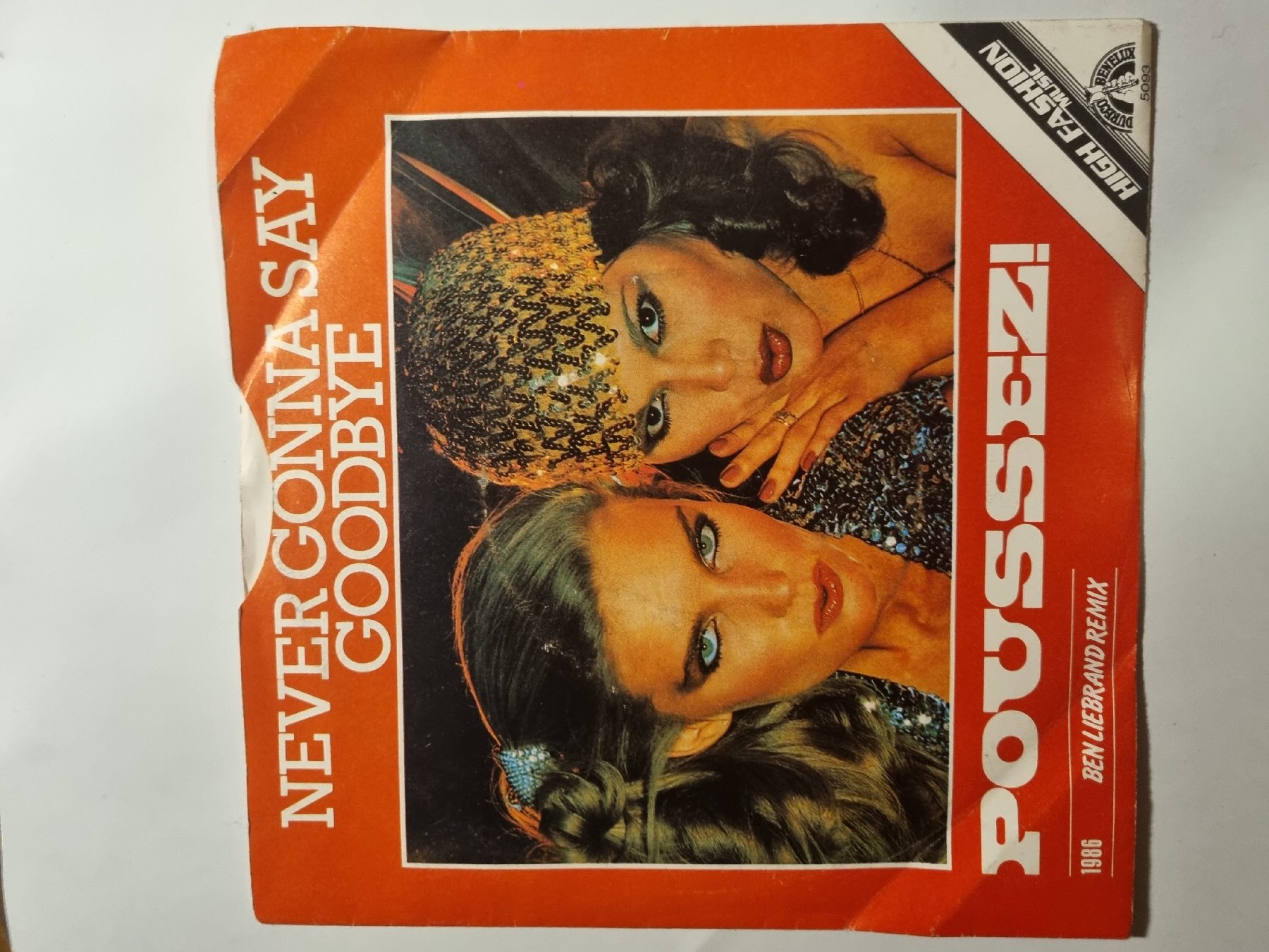 poussez never gonna say goodbye - foto 1