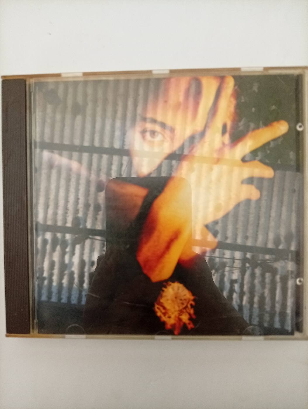 Terence Trent D'Arby - Terence Trent D'Arby's Neither Fish Nor Flesh: A Soundtrack Of Love, Faith, Hope, And Destruction - foto 1