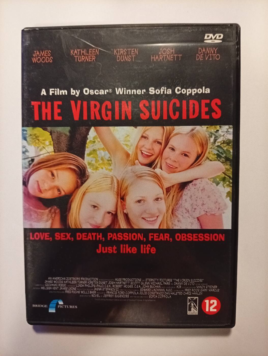 The Virgin Suicides - foto 1